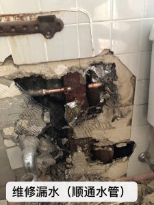 纽约 法拉盛 疏通下水道专家